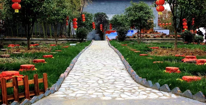 微信圖片_20230326110338_副本