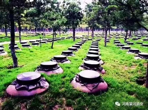 植酒園